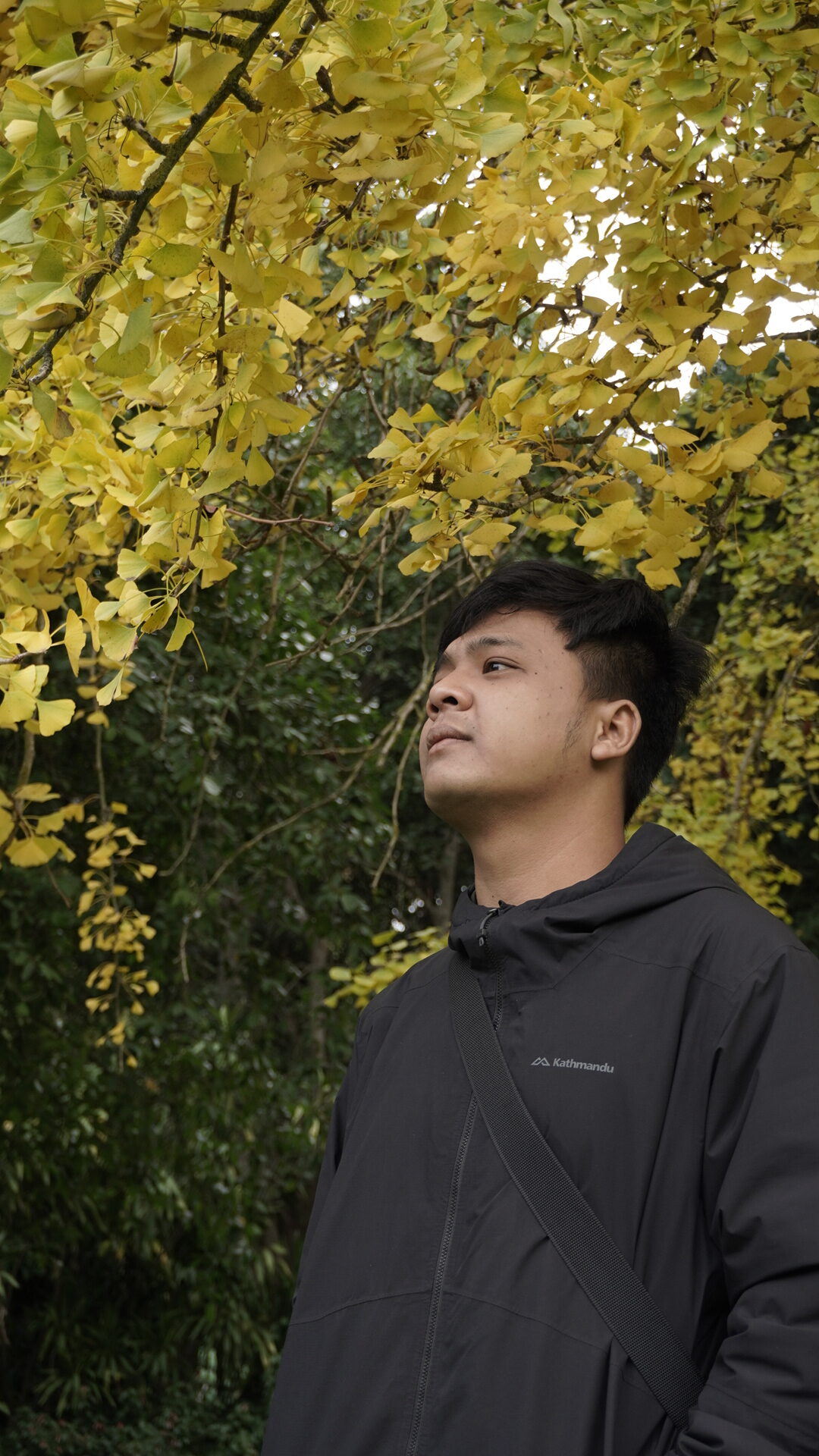 Gusti Putra
