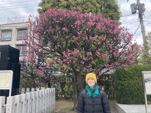 IMG_0293.jpeg