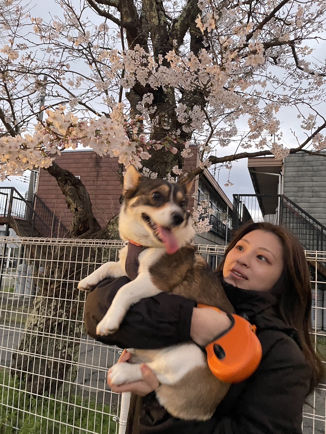 Manaka Yamauchi